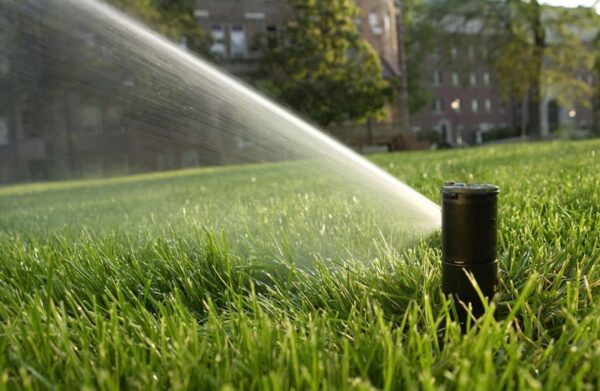 Czujnik opadu deszczu RainBird RSDBEX - obrazek 7