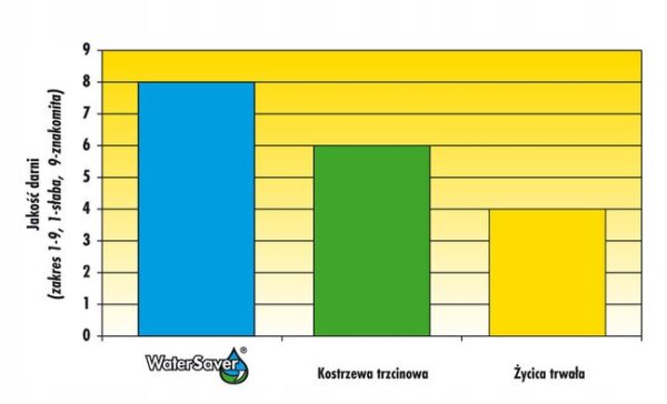 Trawa Barenbrug Water Saver 5kg 200m2 - obrazek 3
