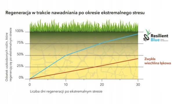 Trawa Barenbrug RESILIENT BLUE Lawn 5kg 250m2 - obrazek 2