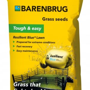 Trawa Barenbrug RESILIENT BLUE Lawn 15kg 750m2