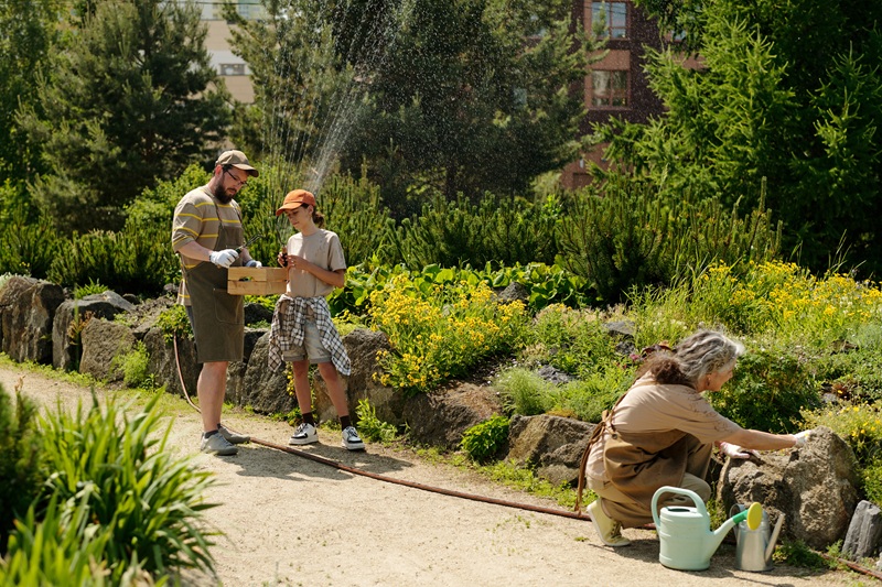 nawadnianie ogrodu sterownik
