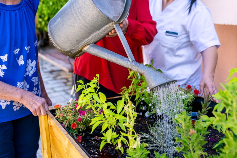 polewanie roślin doniczkowych