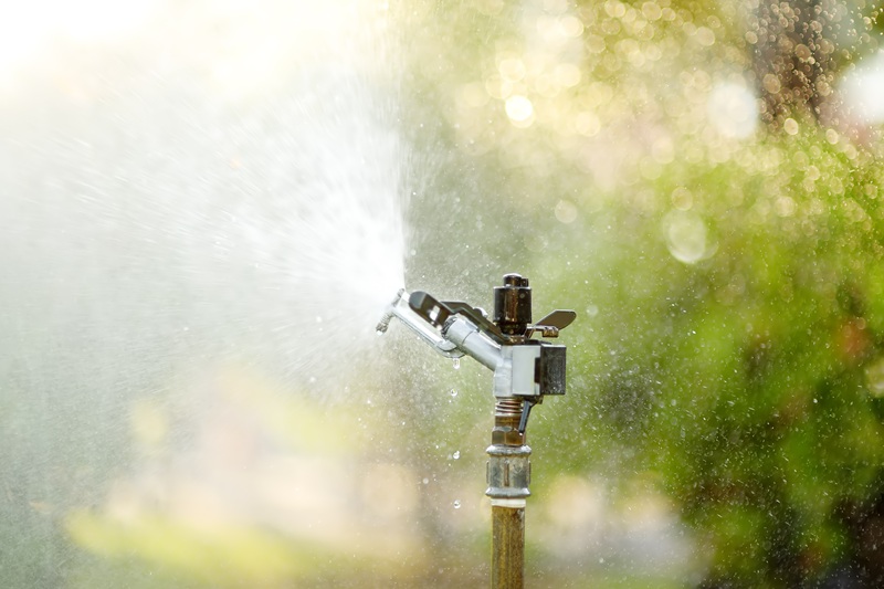 podlewanie ogrodu na urlopie