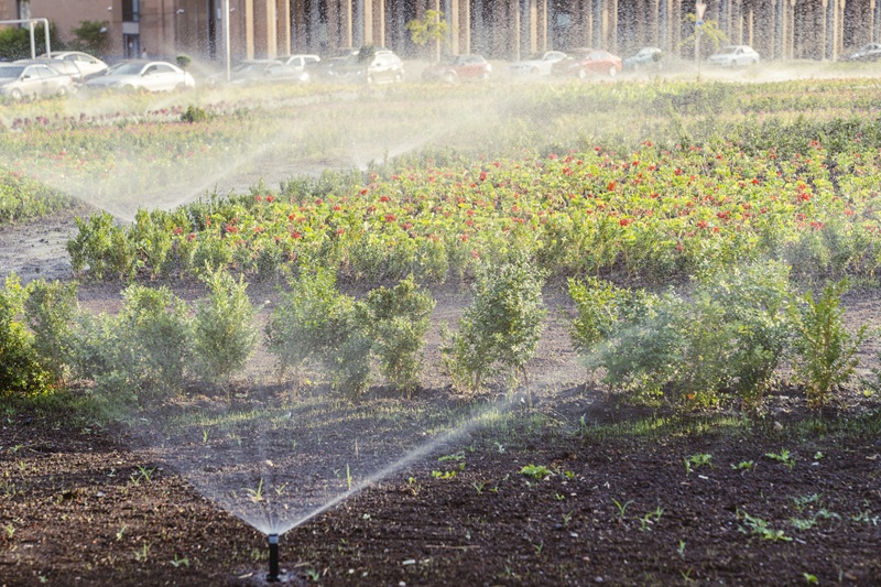 zraszacze ustawienie