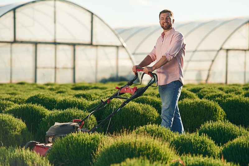 sprzęt ogrodowy wynajem