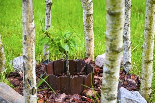 f3002647536d631f9b721f39e0b0d8a3