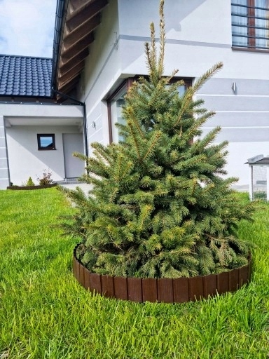 2c2808719d8b12c70fc04303f20a8ae0