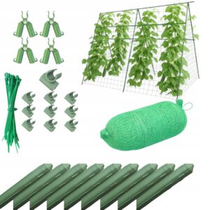 cf960b066b94122cf871a758dd87d84b