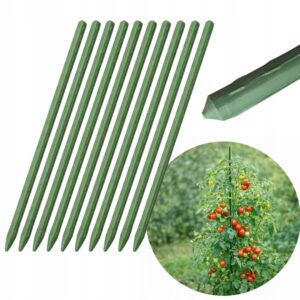 2e918e4572169eadf6bfecfbc13fcdad