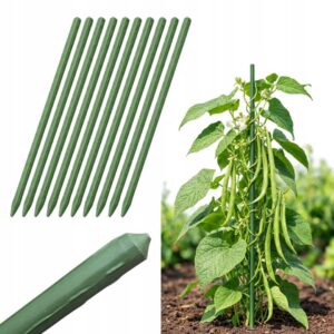 df51e51194edbcc4662b592c10076d0a