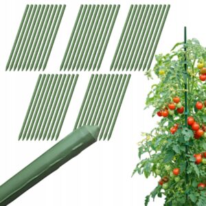 9fc44989175dc0419a025c2cb55b7f91